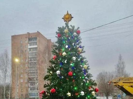 В Рязани в Комсомольском парке появилась пятиметровая ель