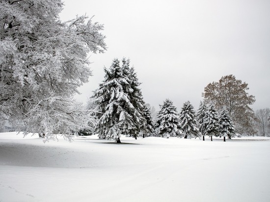 Погода в Рязанской области 25 декабря