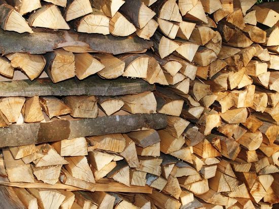 Житель Ярославской области продавал фиктивные дрова