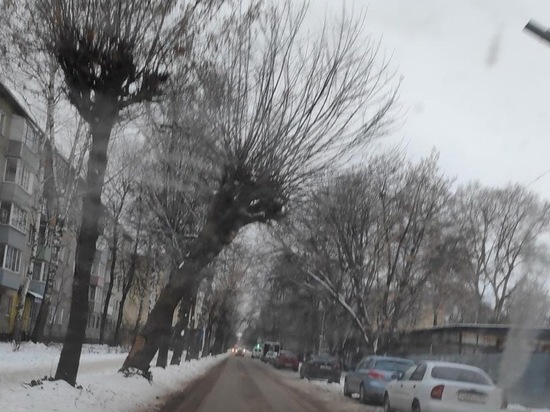 Аварийное дерево на улице Шевченко в Рязани распилили и вывезли