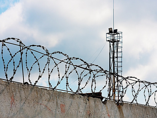 Два бывших ветврача Белгородской области осуждены за взятки