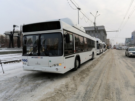 Бесплатный проезд сделают для школьников Новосибирска на новогодние каникулы
