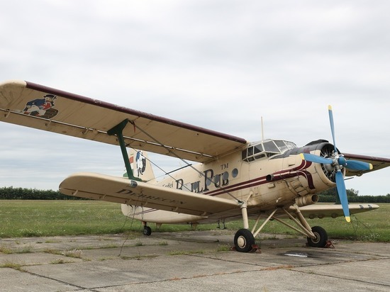 «Аннушка» по цене легковушки: правительство Алтайского края продает два старых самолета