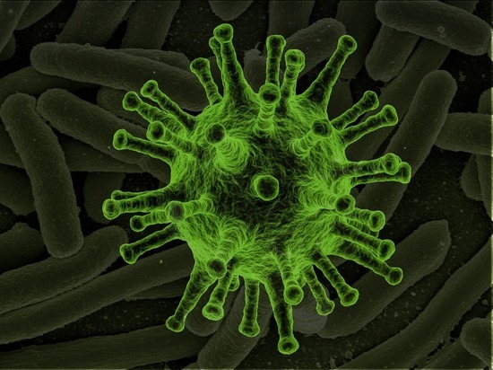 Новый штамм коронавируса нашли в восьми странах Европы
