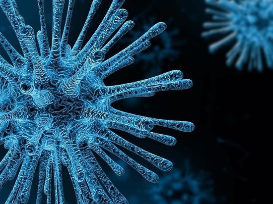 Во Франции - первый случай заражения новым штаммом коронавируса
