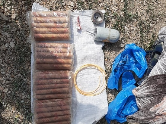 Двоих жителей Алтайского края осудили за попытку продать взрывчатку с рудника