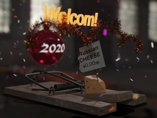 Потянуло на сладкое: крыса в Хабаровске съела новогодние подарки