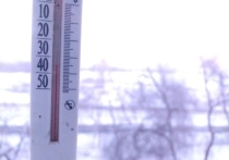 Аномальные холода, пришедшие на территорию Западной Сибири, метеорологи связали с арктическим антициклоном