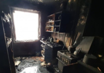 Жительница Нижнего Новгорода устроила взрыв газа в многоэтажном доме, в результате чего погибла