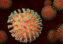 Министерство здравоохранения ДНР сообщает, что по результатам проведенных 26 декабря исследований, статистика заражения коронавирусной инфекцией в республике пополнилась еще 148 случаями