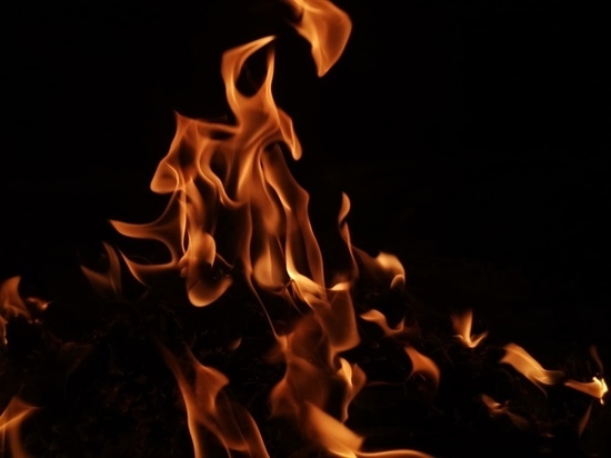 На территории тира «Динамо» в Туле произошло возгорание