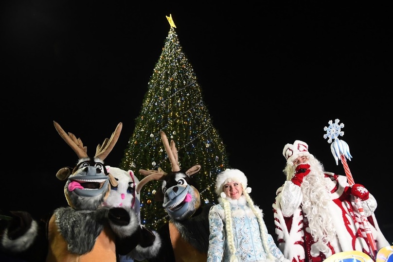 Новогодние гулянья в Волгограде открыл Дед Мороз на автосанях, фото-3