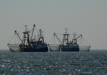 Рыболовецкое судно в Баренцевом море затонуло из-за обледенения, заявили в пресс-службе МЧС России