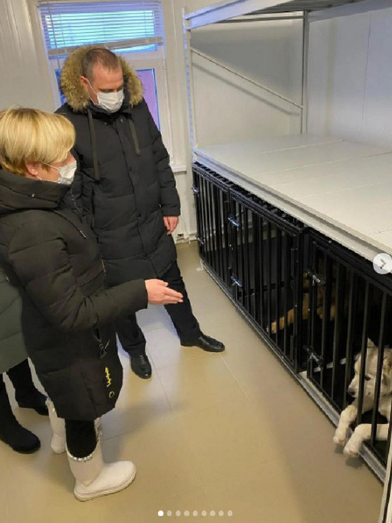 110 вольеров и личная ветклиника: в Губкинском открыли приют для бездомных животных