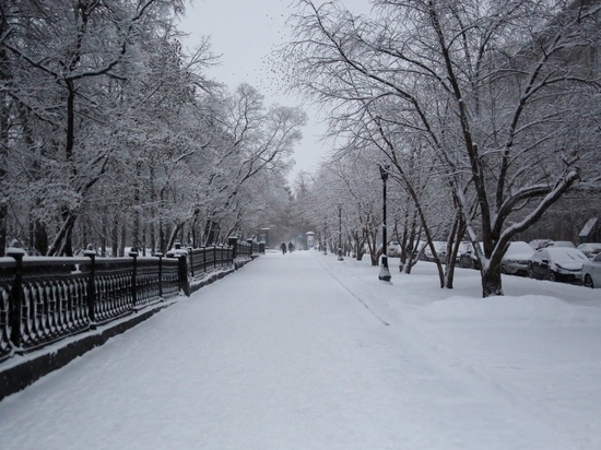 Мощная волна холодов до -45 градусов придет в Новосибирск на новогодних каникулах