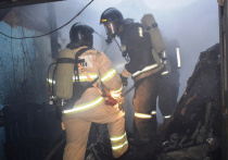 Военный пенсионер и его 6-летний внук погибли во вторник утром при пожаре в жилом доме в подмосковной деревне Фенино (городской округ Балашиха)