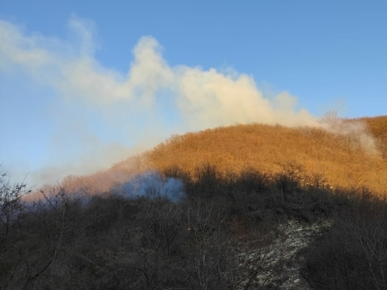 В Туапсе больше пяти часов тушат большой лесной пожар