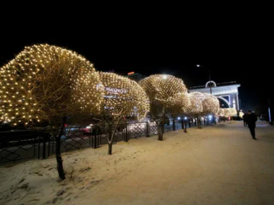 В Улан-Удэ на 60 яблонях установили светодиодную подсветку