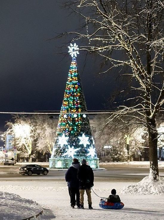 Псковский губернатор: Приняты максимально мягкие меры на новогодние праздники