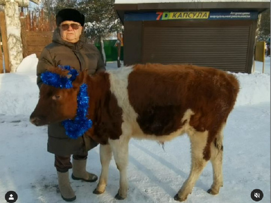 В барнаульском зоопарке появился символ года — бык Яша