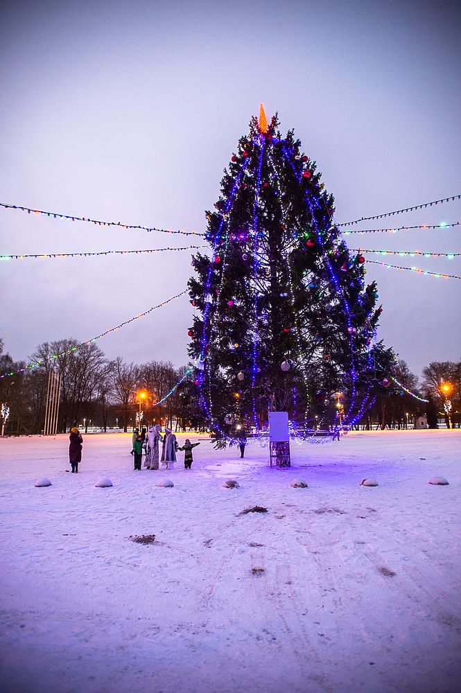 Главные новогодние елки украшают райцентры Псковской области