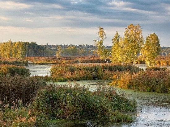 Путин разрешил приватизировать земли нацпарков