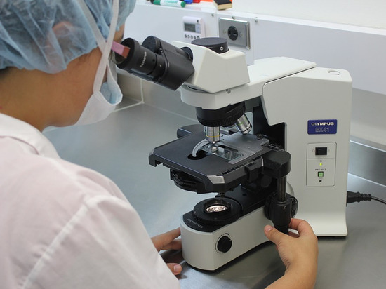 В ДНР лаборатория будет работать и в новогодние праздники