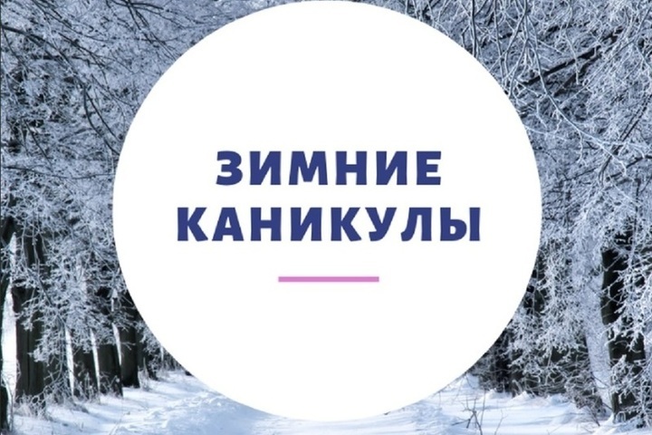 Как прошли зимние каникулы план