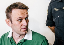 Возбужденное против «блогера» Алексея Навального и ряда других лиц уголовное дело о мошенничестве в особо крупном размере начинает обрастать интересными подробностями