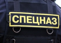 В Санкт-Петербурге полиция задержала группу людей, одетых в форму сотрудников спецподразделений и проводивших захваты людей