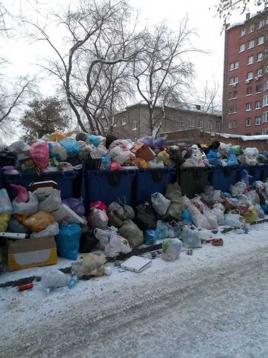 Мусор с контейнерных площадок не вывозят в Новосибирске