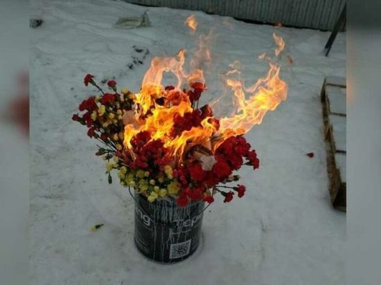 Опасные цветы: карантинные гвоздики сожгли в Ижевске