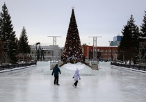 В Новосибирске 1 января погода будет ясной, с переменной облачностью и без существенных осадков