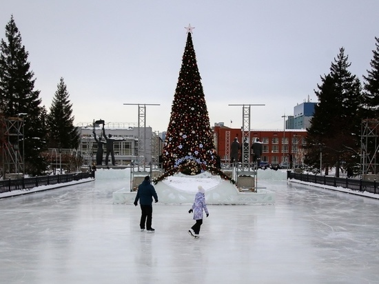 Год в Новосибирске начался с лютых морозов
