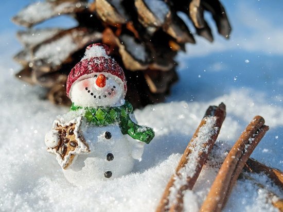 Поющий и танцующий снеговик встретит томичей в ледовых городках