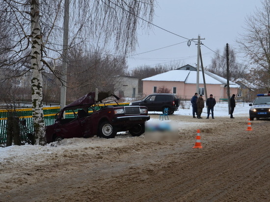 В Рязанской области «Жигули» врезались в дерево, погиб подросток