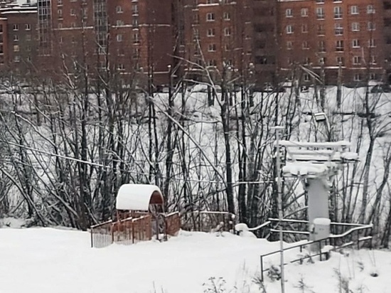 В Новосибирске погибла катавшаяся на плюшке девятилетняя девочка