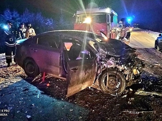 В ужасном ДТП в Удмуртии погибли 2 взрослых и ребенок, еще 8 человек пострадали