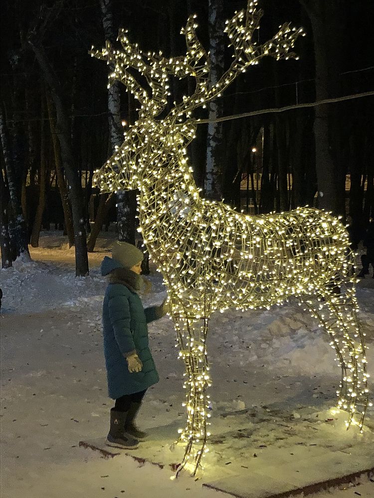 Где в Рязани сделать новогоднее селфи