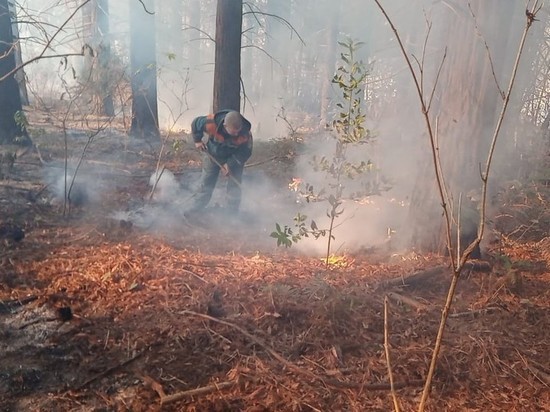 На Кубани тушат два крупных лесных пожара