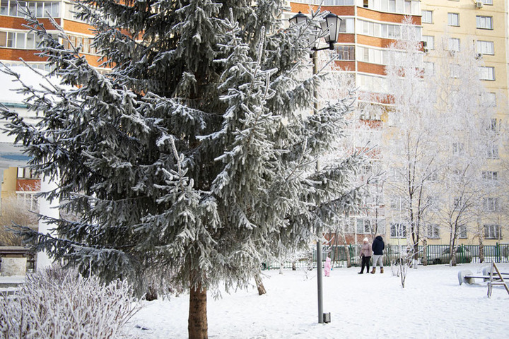 Погода в новосибирске фото сегодня