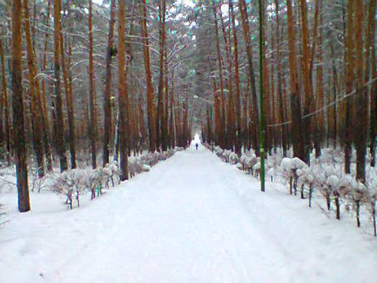 Синоптики пообещали смягчение морозов в Омске 5 января