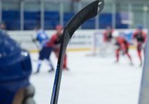 Сборная России на молодежном чемпионате мира по хоккею в Эдмонтоне в четвертьфинала обыграла Германию