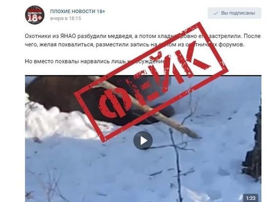Осторожно, фейк: соцсети выдали московское убийство медведя в берлоге за ямальский эпизод