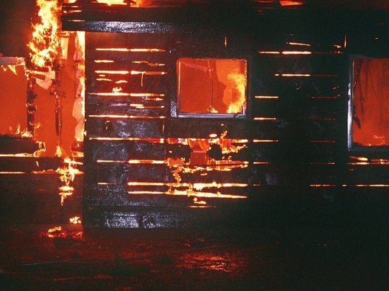 С начала года пожары в Башкирии унесли жизни шести человек