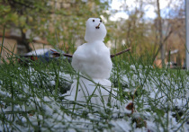 В Гомельском районе Белоруссии мужчину будут судить из-за слепленного им снеговика