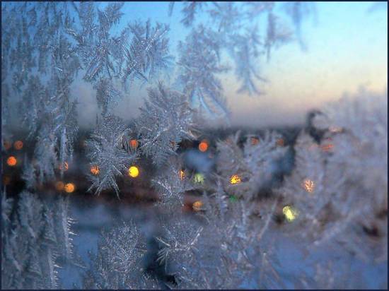 Жителям Костромы обещают Рождественское похолодание