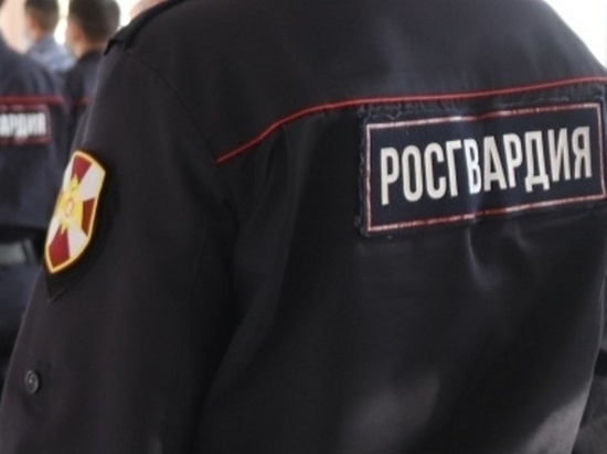 Росгвардейцы Забайкалья за год задержали более 3,5 тыс подозреваемых