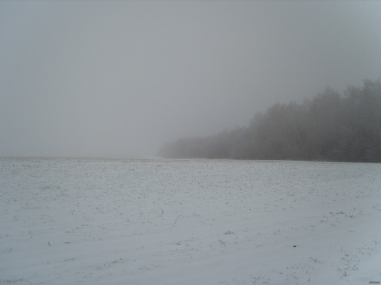 На Тверскую область опустился туман