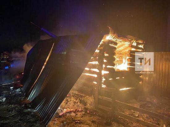 В Лаишевском районе РТ на пожаре погиб охранник коттеджного поселка